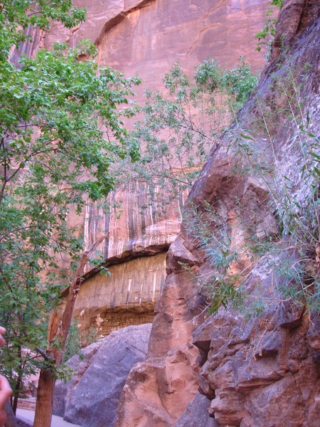 Muscle rock