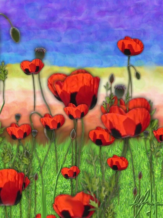 POPPIES