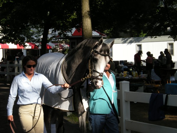 To the Paddock