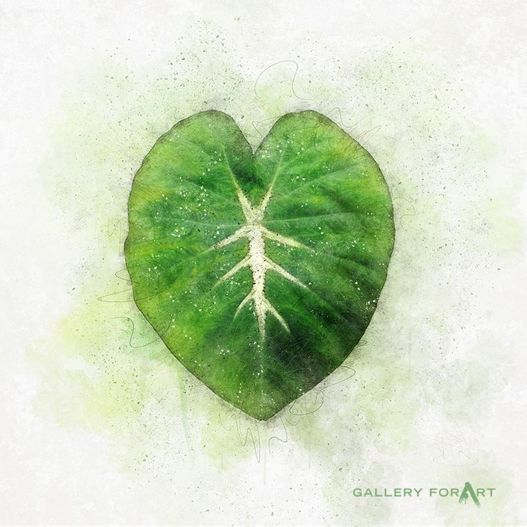tropical-leaf-spot-01