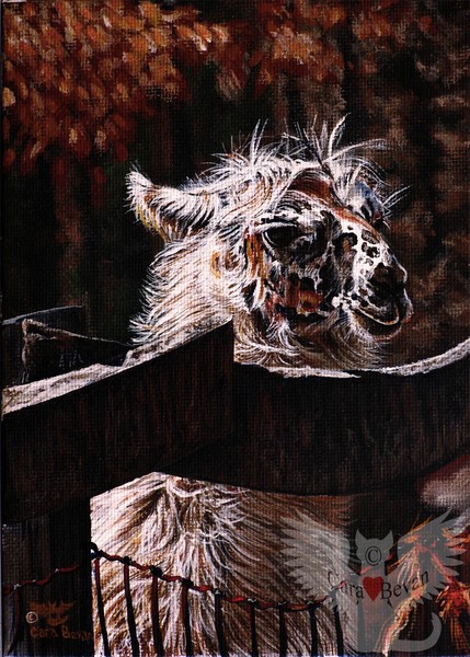 Autumn Greeting