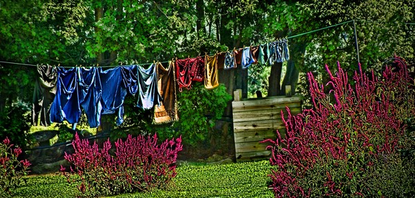 Wash DAy