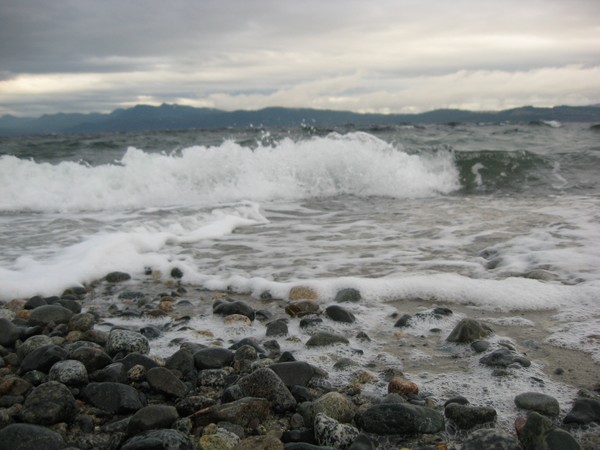 The wave
