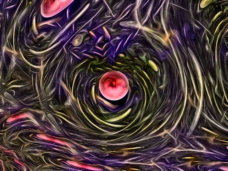 The One