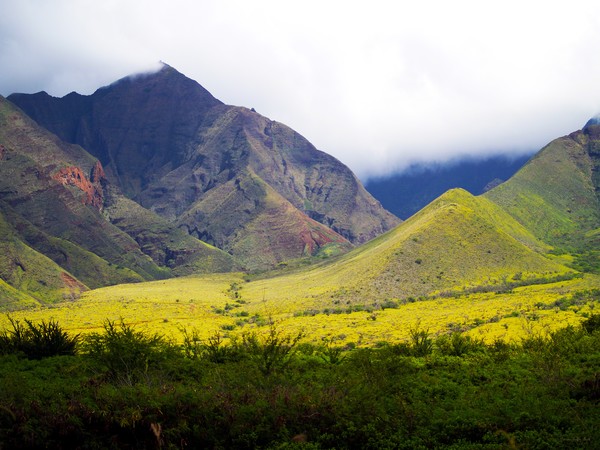 Maui Mountains-fine art print