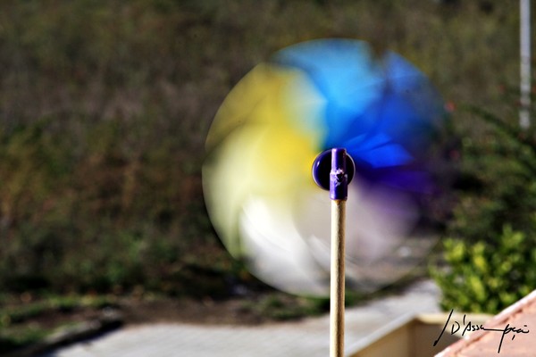 turning colors