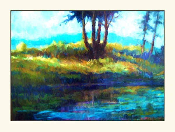 sunrise  dark pond ti
