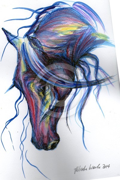 ~Ulinska-Lisowska Original Purple  Horse  Waterco