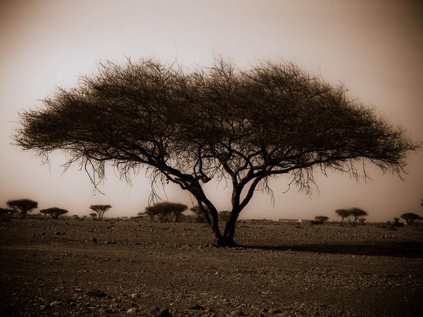 life in a harsh world