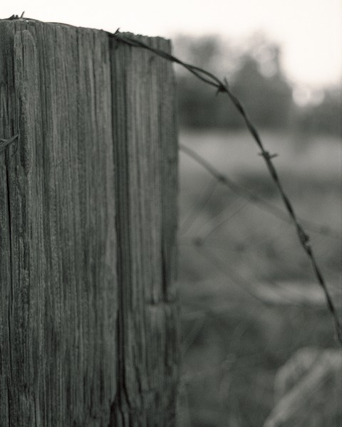 Fence post and barbed wire