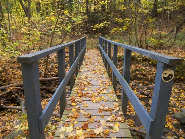 Autumn Bridge