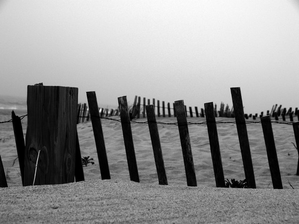 Nantucket Beach Fence