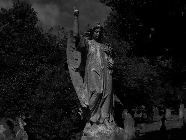 Angel