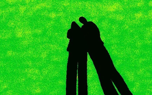 Shadow Couple