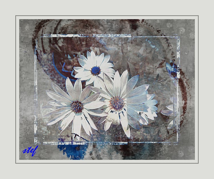 Birthday Greetings for Anneke