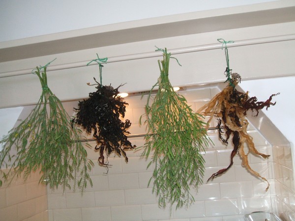 my kitchen