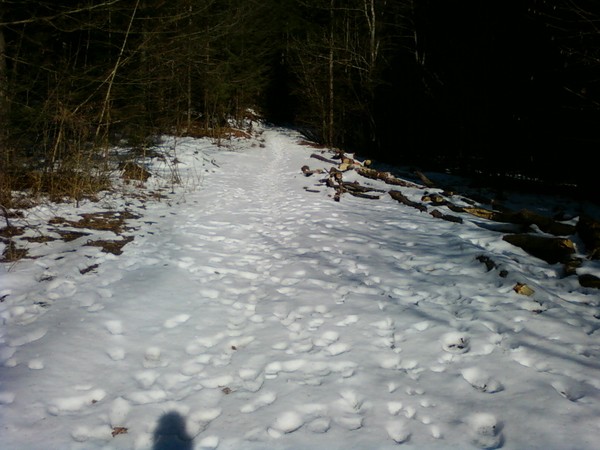 moon road