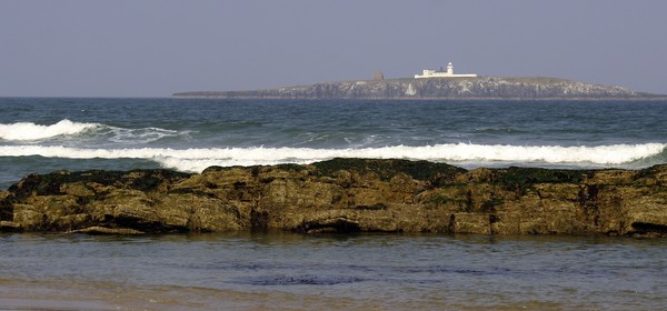 Farne Islands