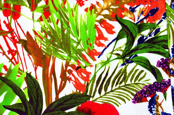Tropical Abundance