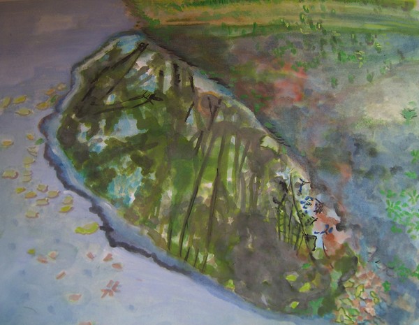puddle1