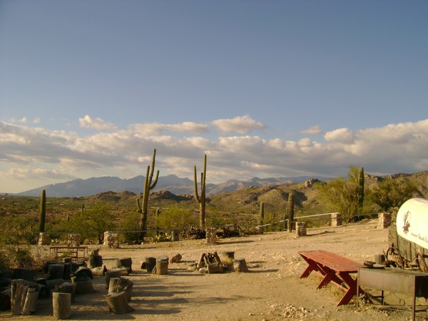 Desert Sunset 