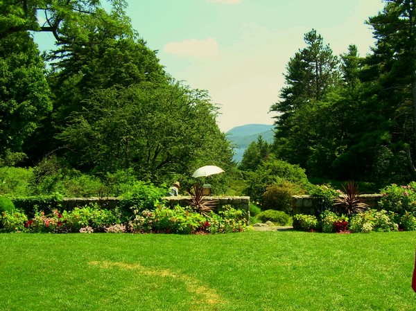 view to the lake
