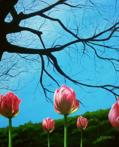 Tulips