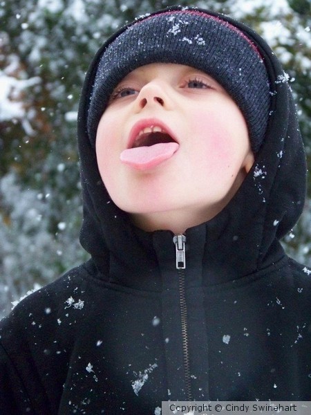 Catching snowflakes