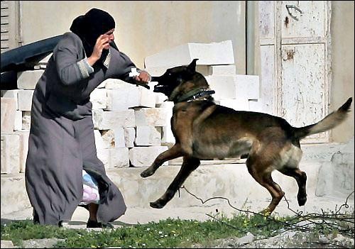 Old Mother Hubbard