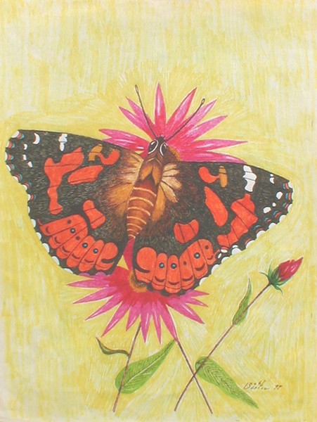 Gator Moth