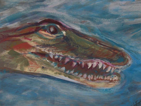 Croc-a-Gator