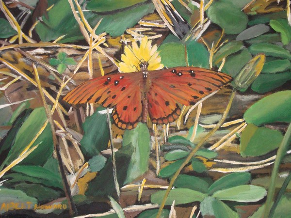 butterfly