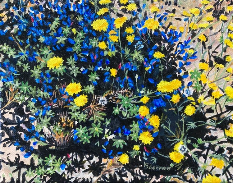 Spring from the Shadows