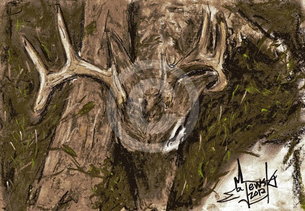 Buck