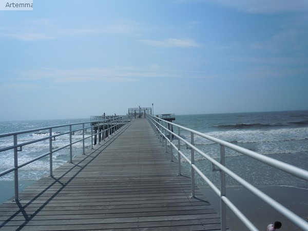 DSCN0924