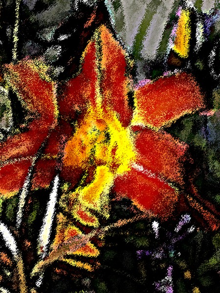 Fire Lilly