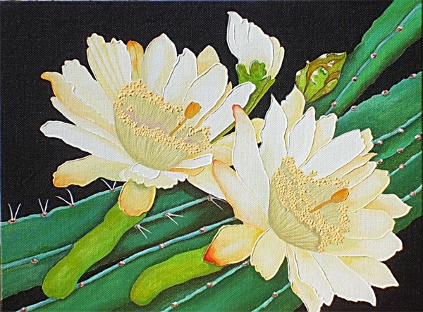Night Blooming Cacti
