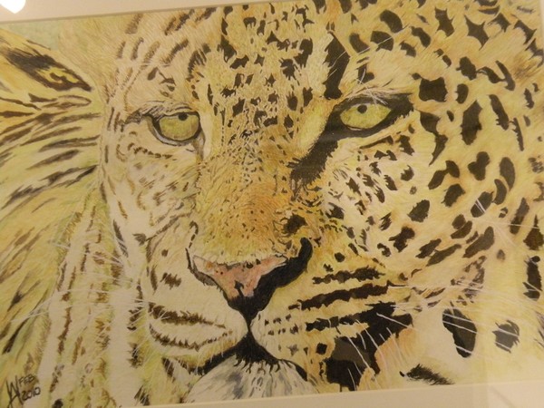 A cool LEOPARD