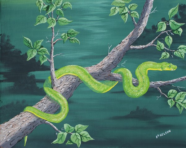 TREE SNAKE