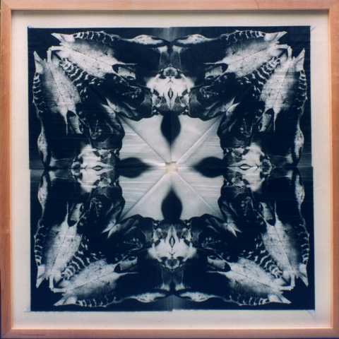 Coudrage Kaleidoskop 7