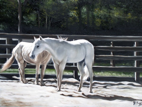 Silver shadow