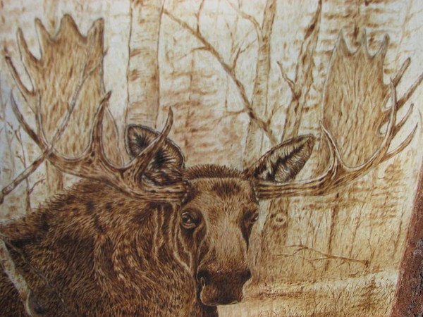 Moose