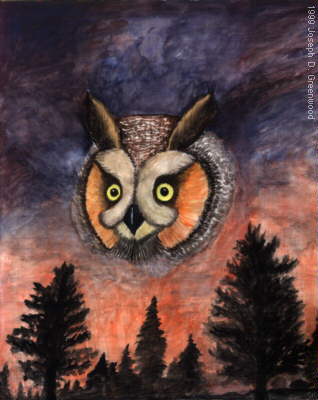 Watcher Of The Woods