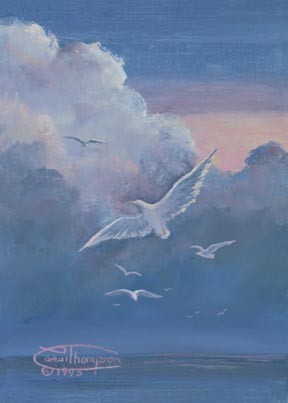 Soaring High
