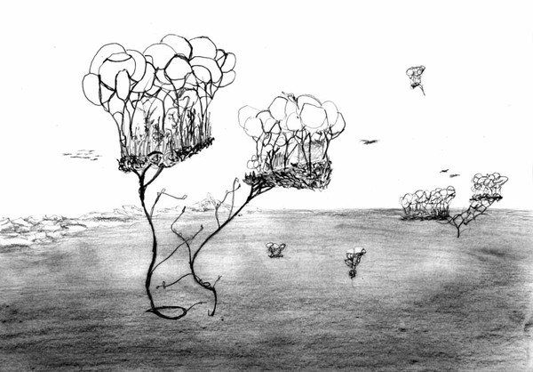 skywards