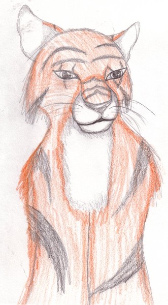 Tiger Cub