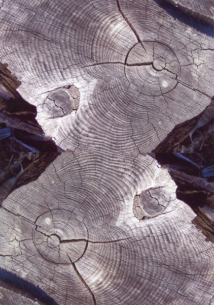 Interface