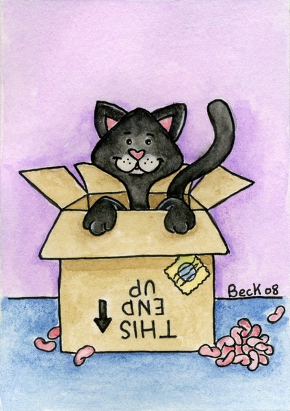 Cat in a Box