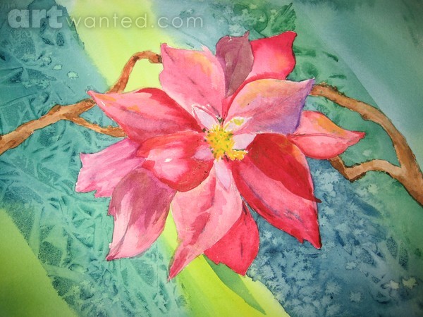 Poinsettia