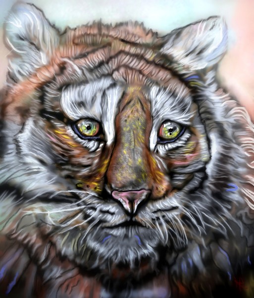 Fury